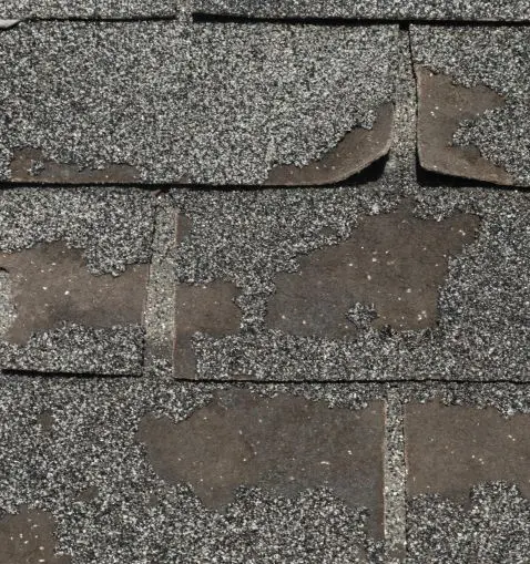 Architectural asphalt shingle roof documented by Perkins Roofing.