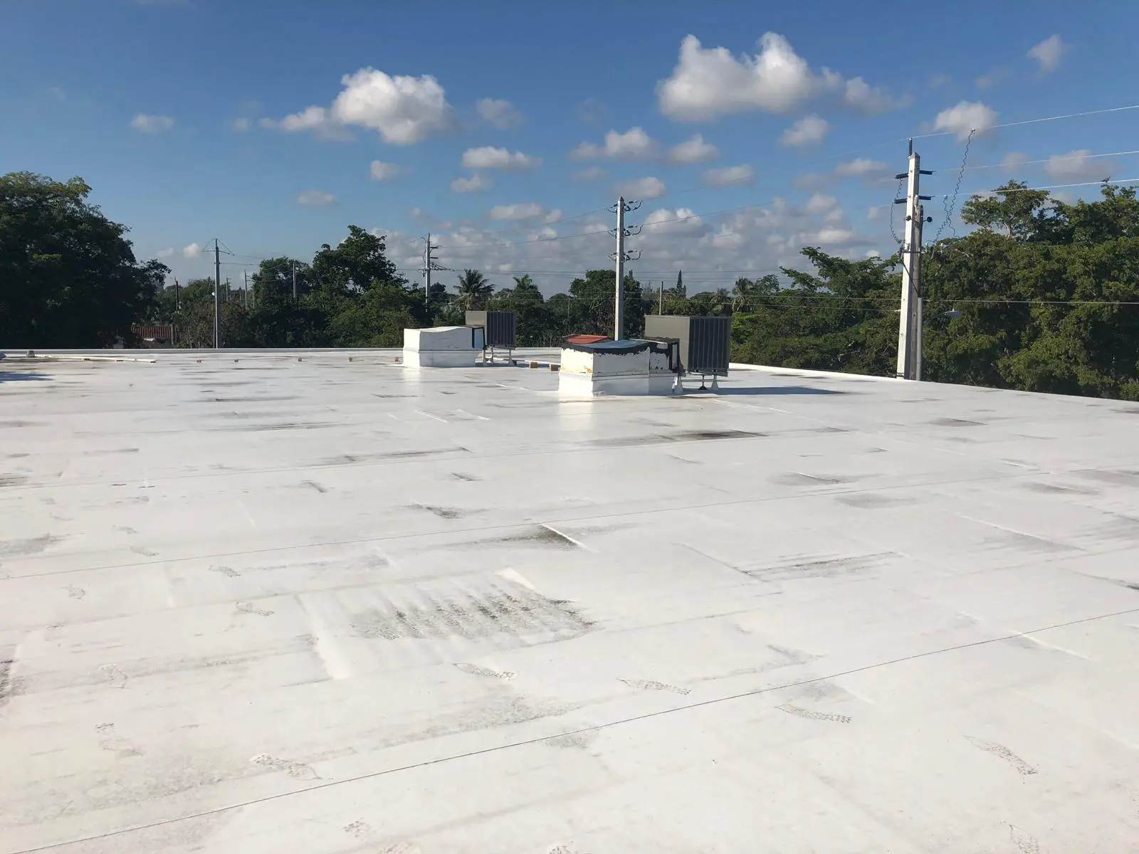 Commercial TPO Roof in Fort Lauderdale Commercial TPO Roof in Fort Lauderdale