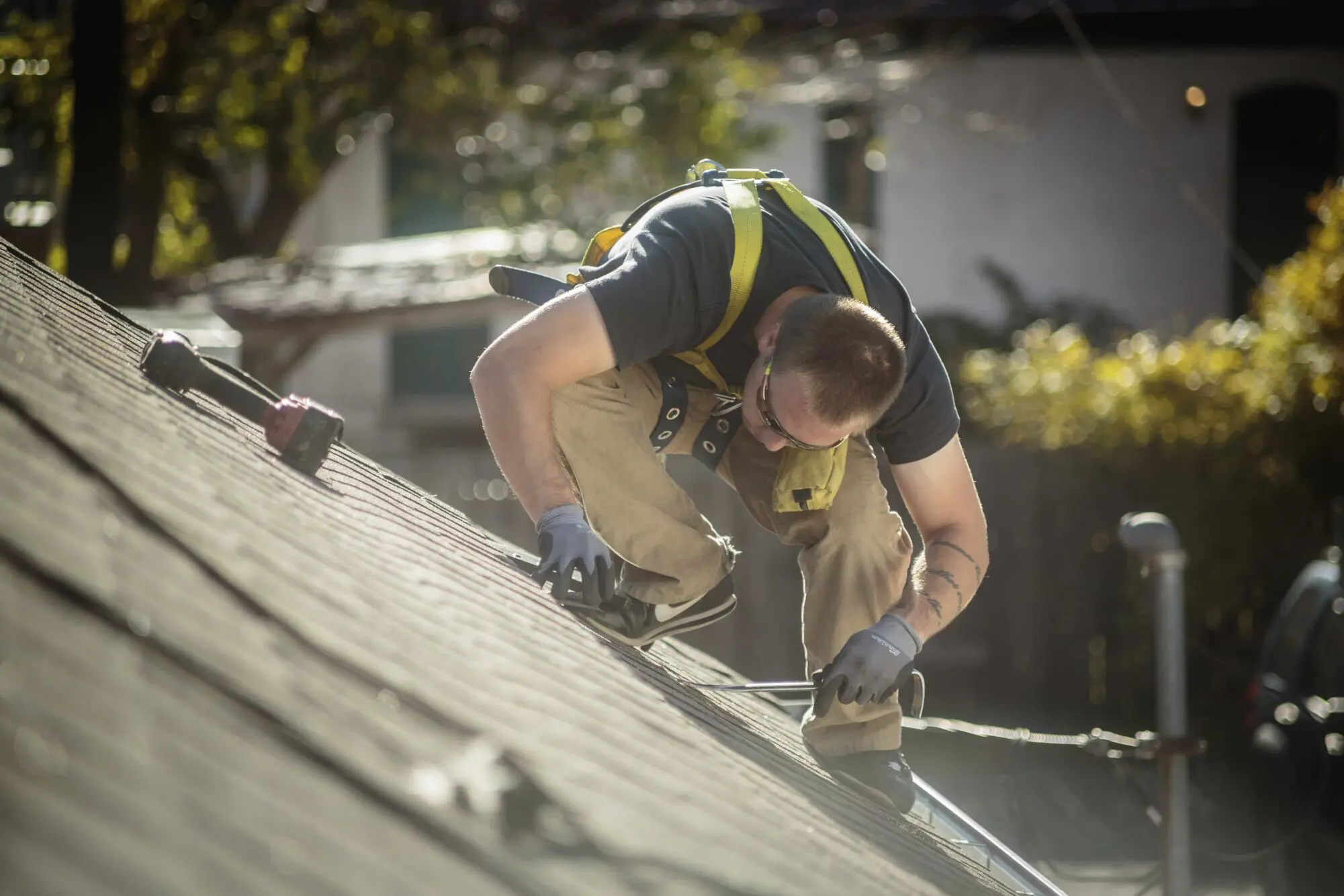 Is Your Roof Damaged