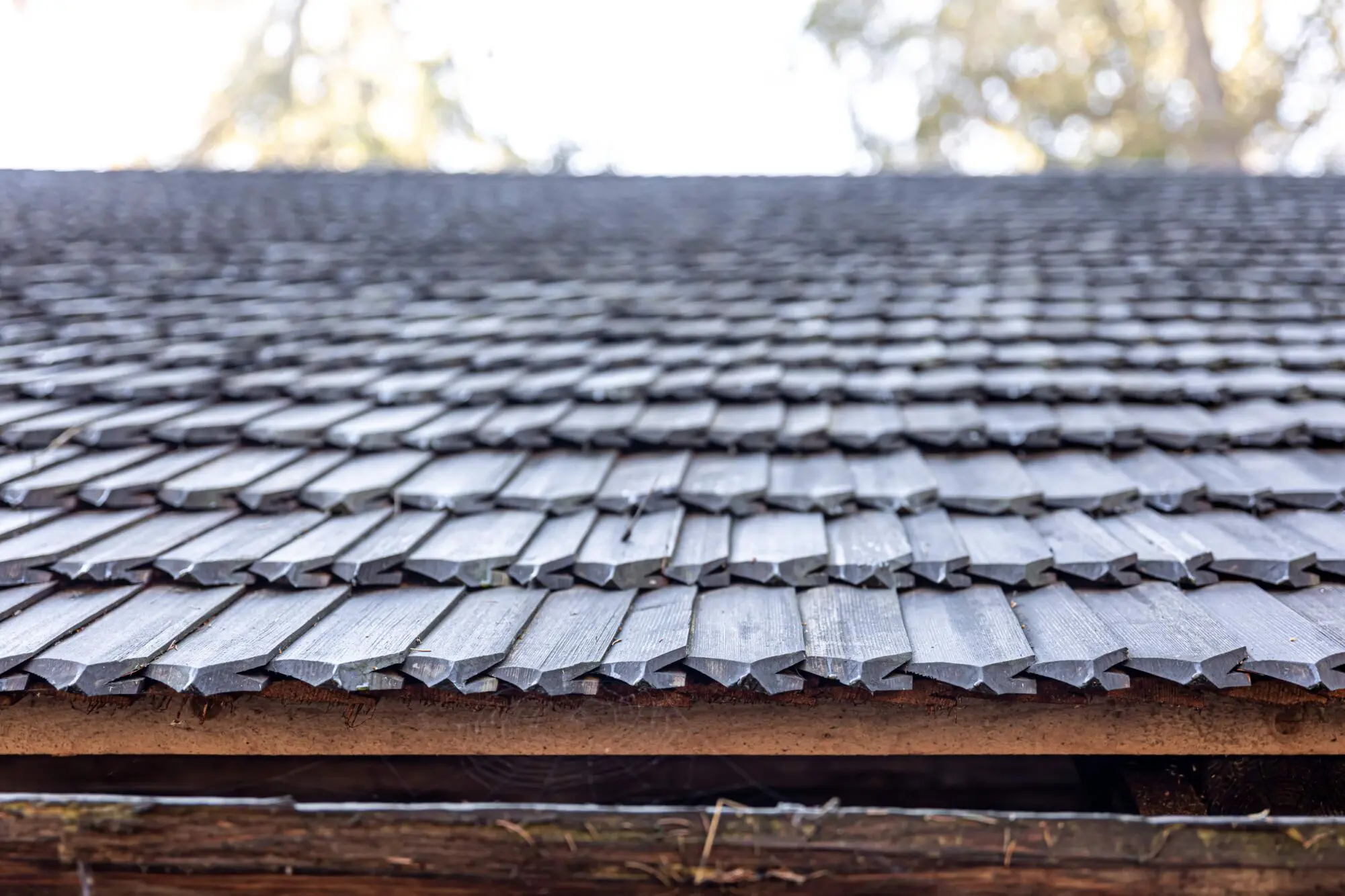 Damaged Roof in Miami