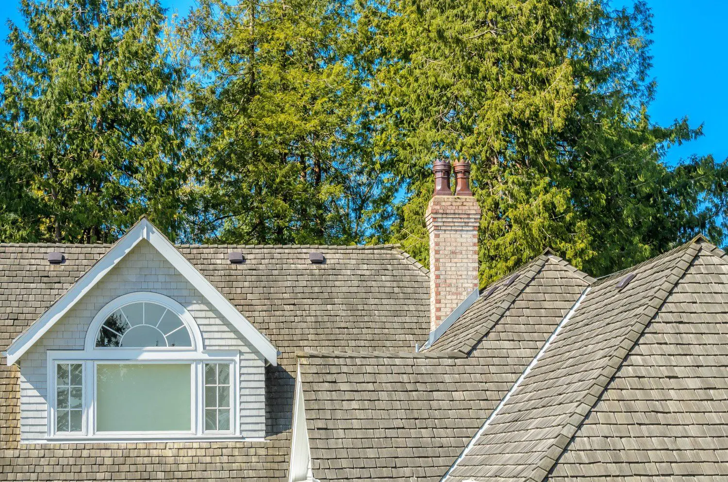 Shingle Roof