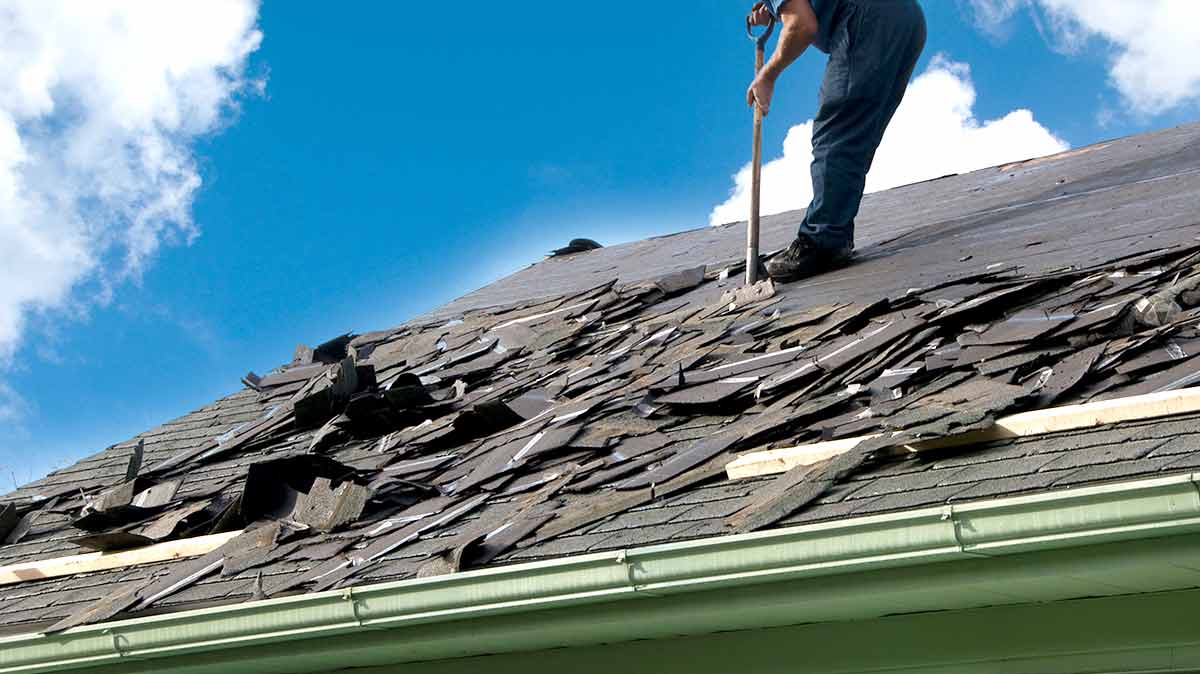 repair or replace roof