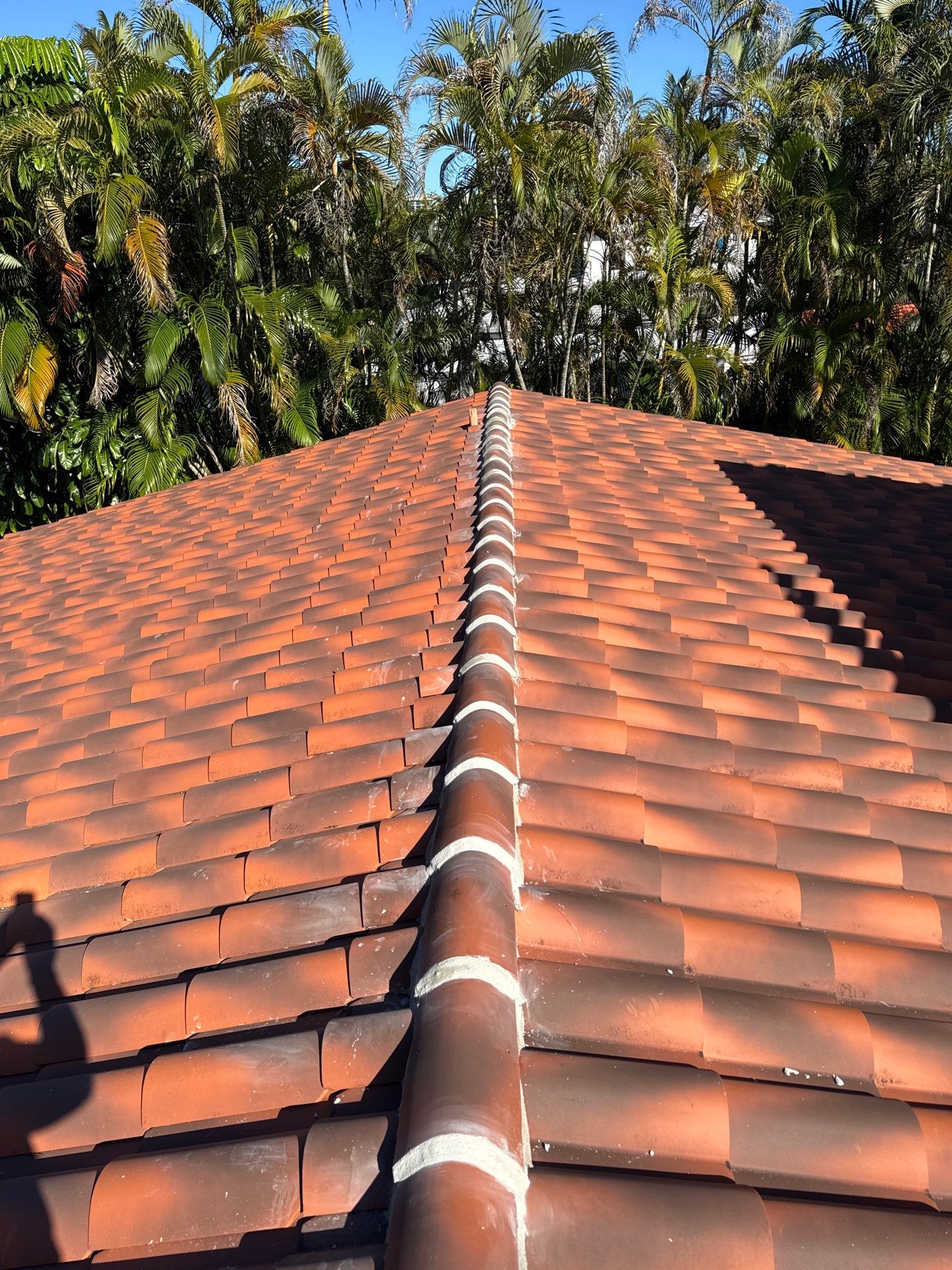 Premium Roof Repair and Installation in Coral Gables