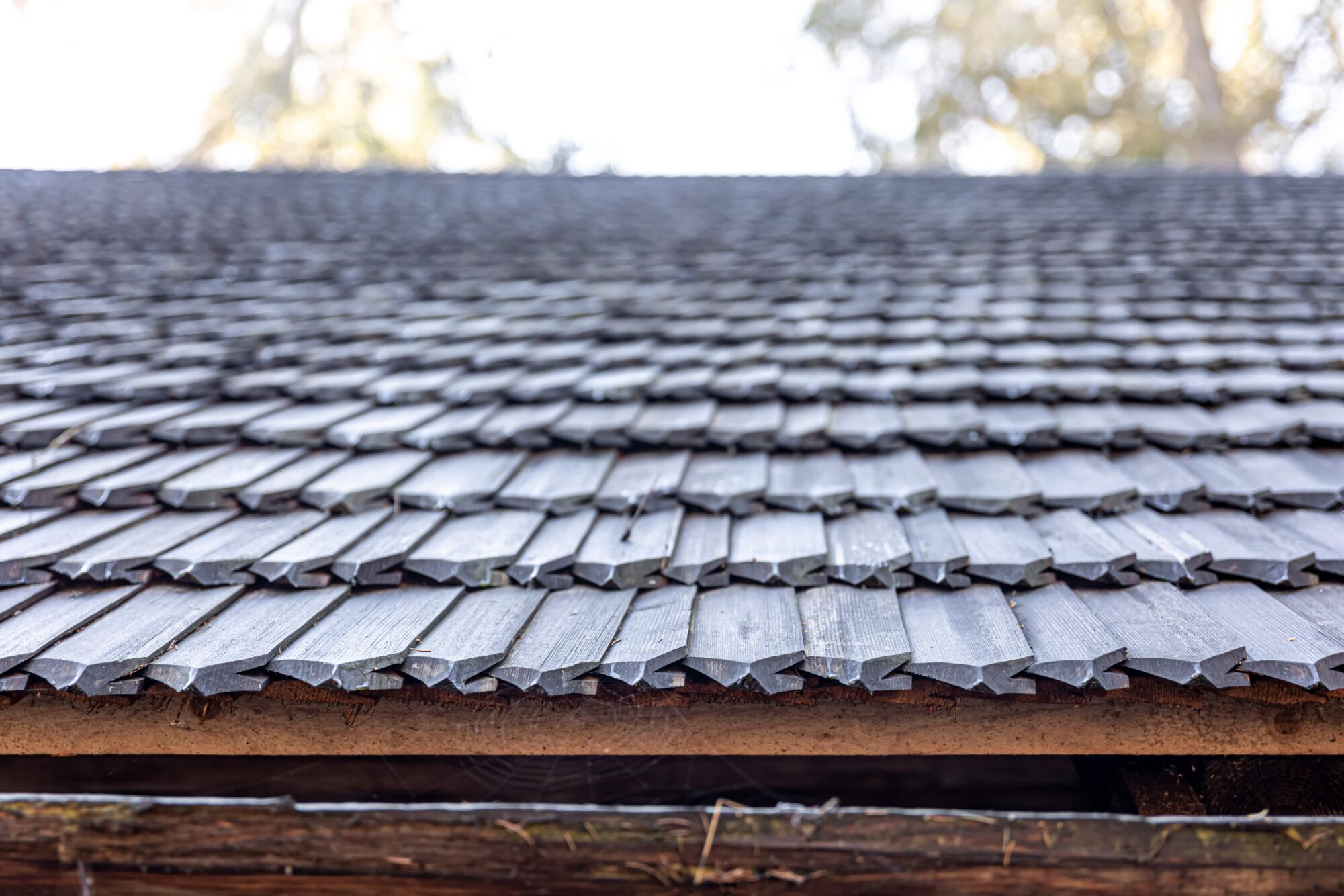 Damaged Roof in Miami