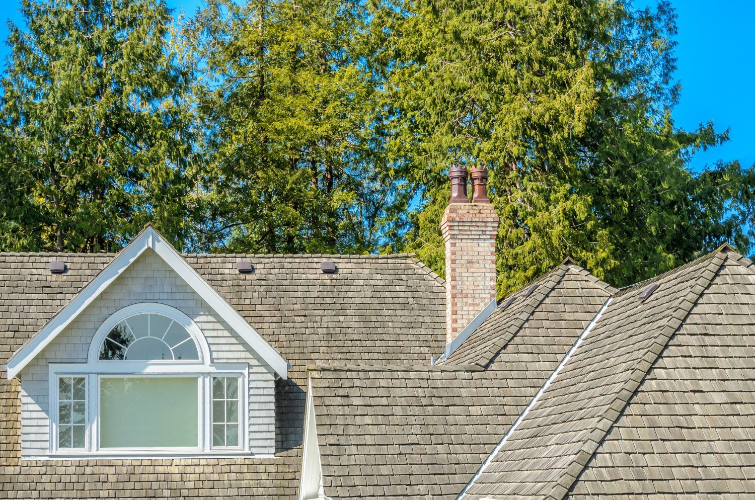 Shingle Roof